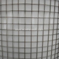 Stainless Steel Welded Wire Mesh for Building